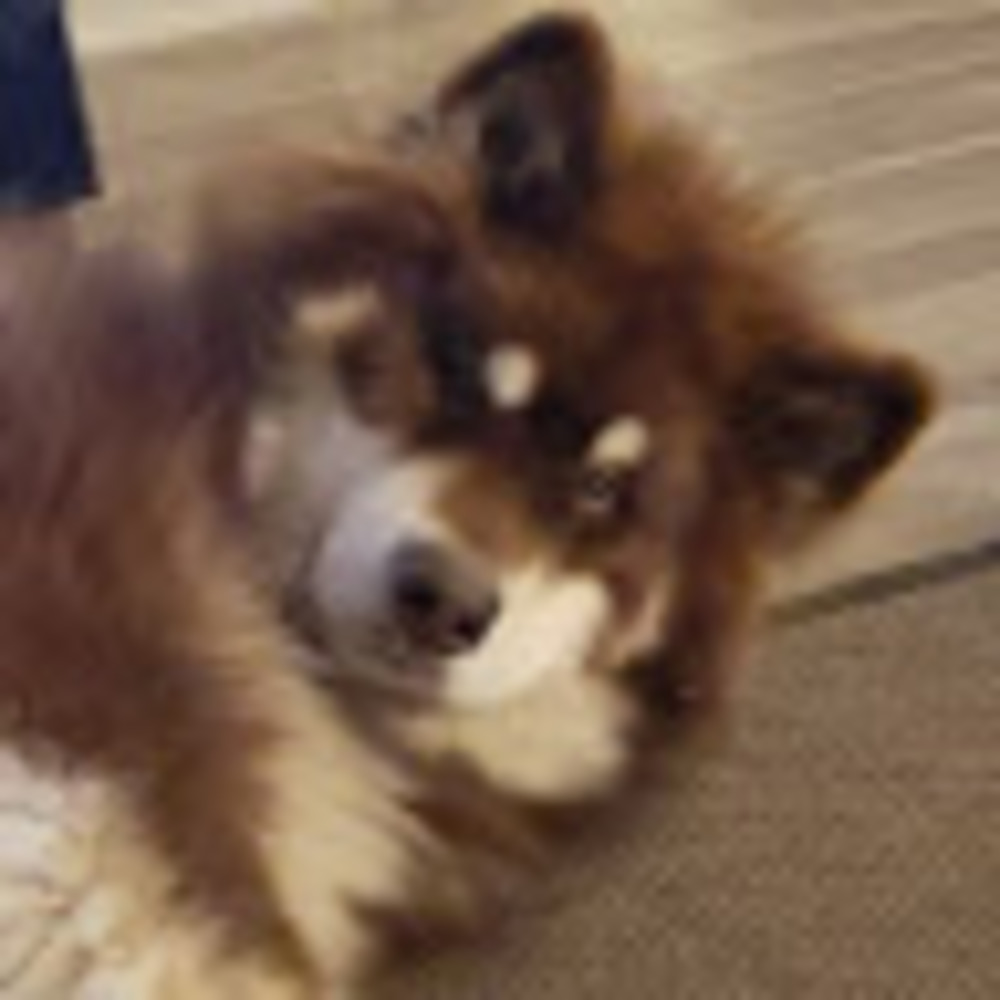 Meet your Posher, Kevin